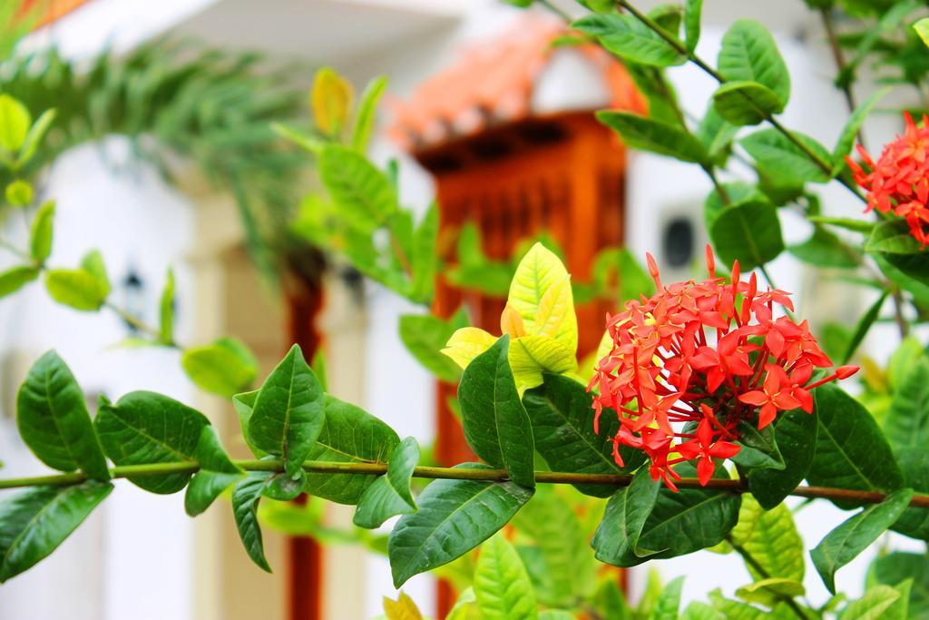 Вілла Casa Marques Del Pedregal Cartagena Номер фото